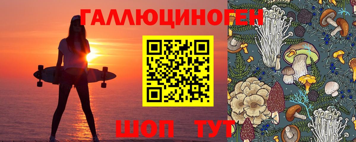 Чусовой  Псилоцибиновые грибы MAGIC MUSHROOMS  Вход с VPN 